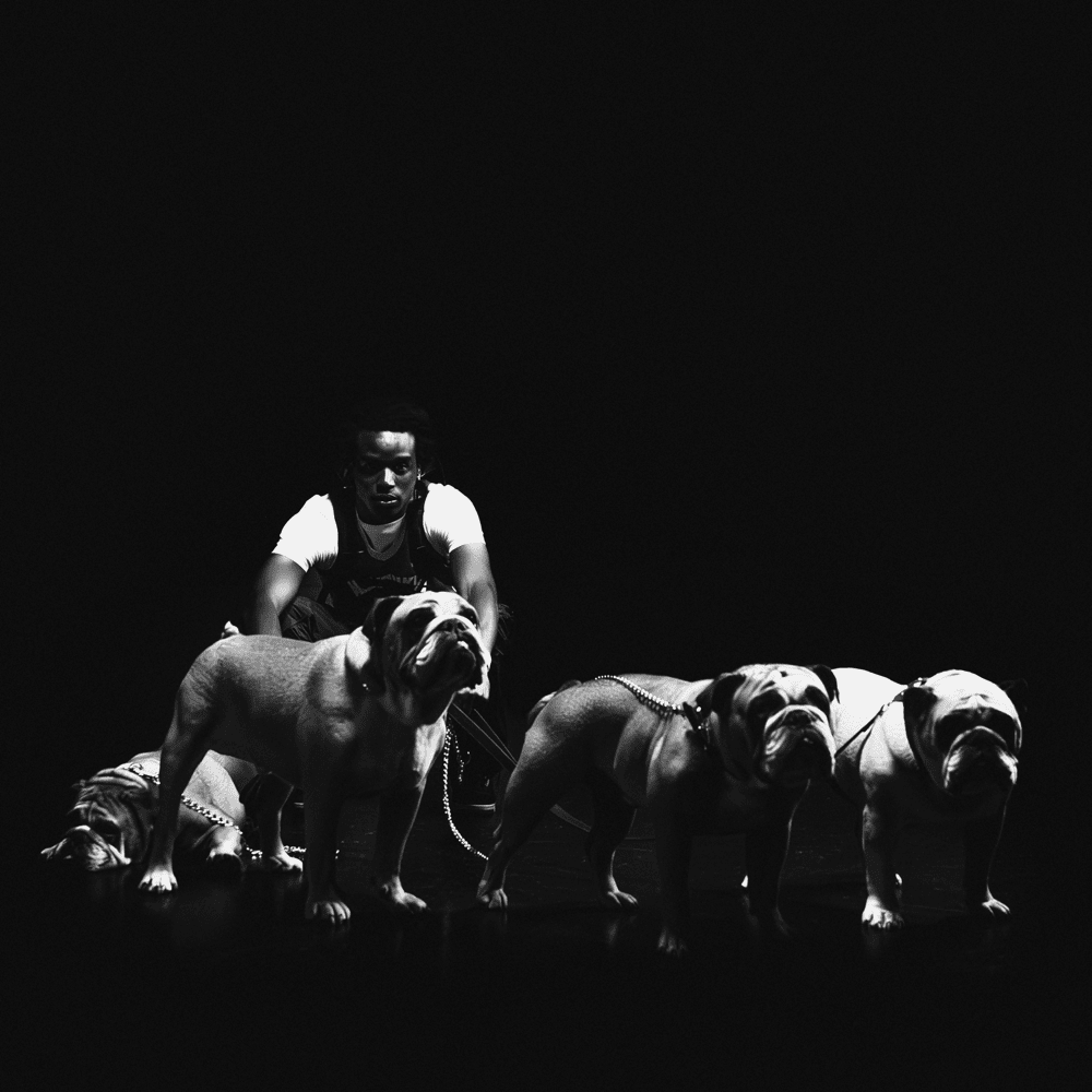 4BULLDOG by Jolagreen23