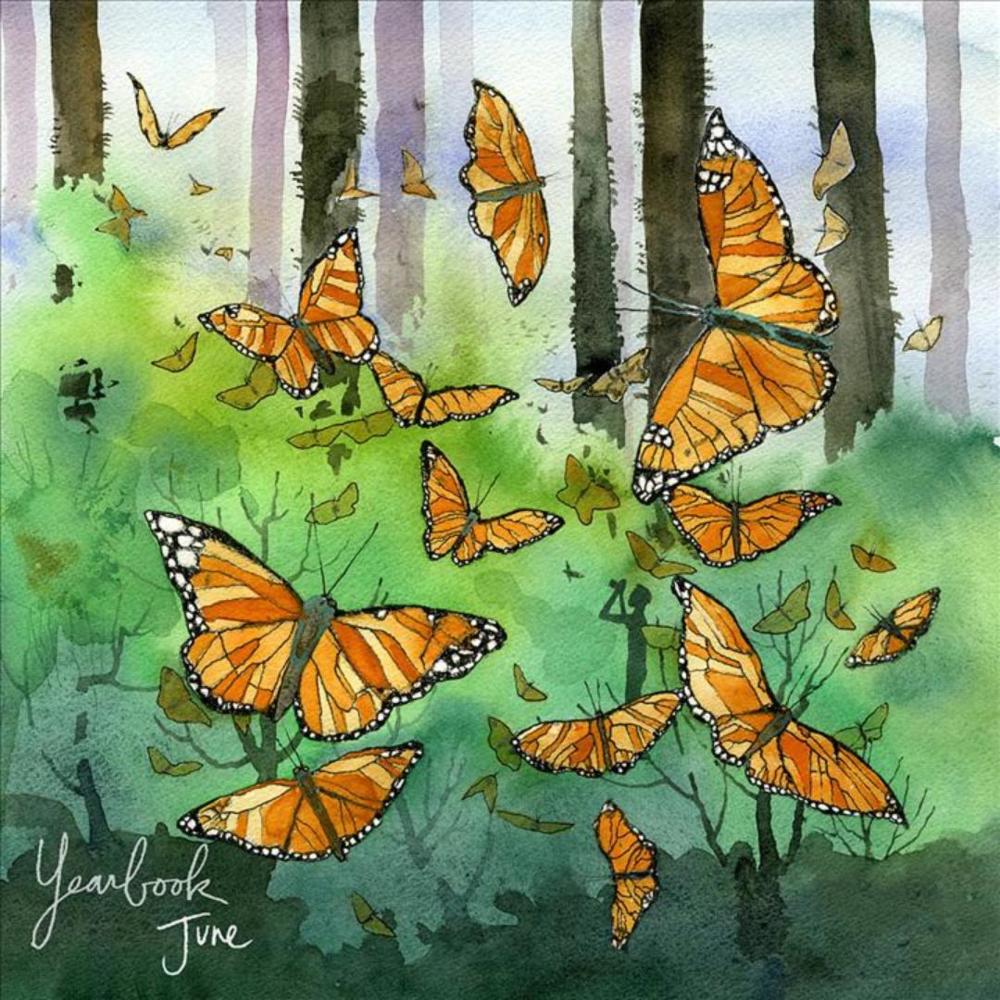 Album cover art for "Hourglass" by Sleeping At Last