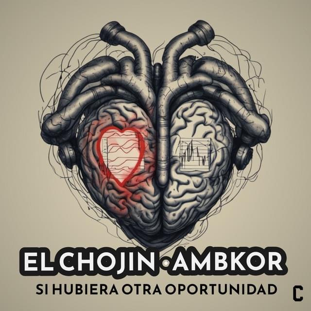 Album cover art for "Si hubiera otra oportunidad" by AMBKOR