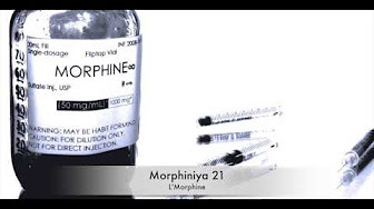 Album cover art for "L’Morphiniya 21" by L’Morphine