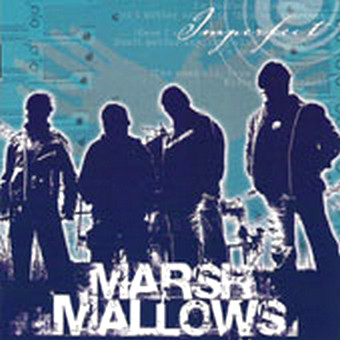 Album cover art for "La Isla Bonita" by Marsh Mallows