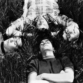 Photo of The Blades of Grass