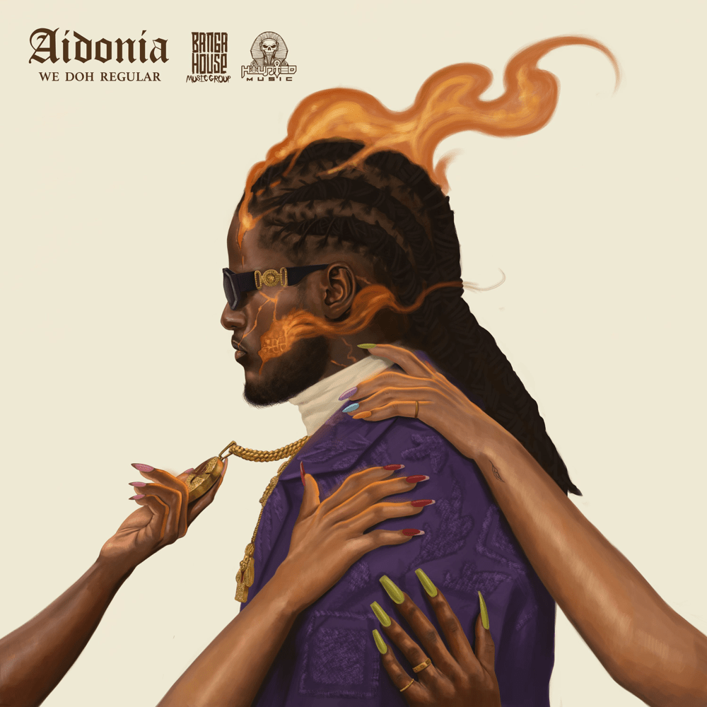 Album cover art for "We Doh Regular" by Aidonia