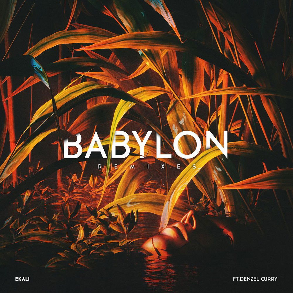 Cover image for Babylon (Remixes)