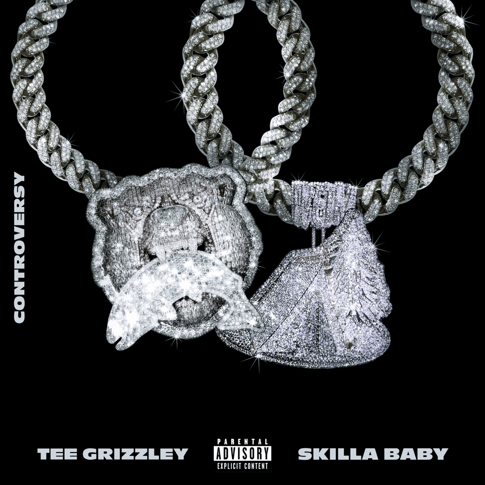 Cover image for Controversy