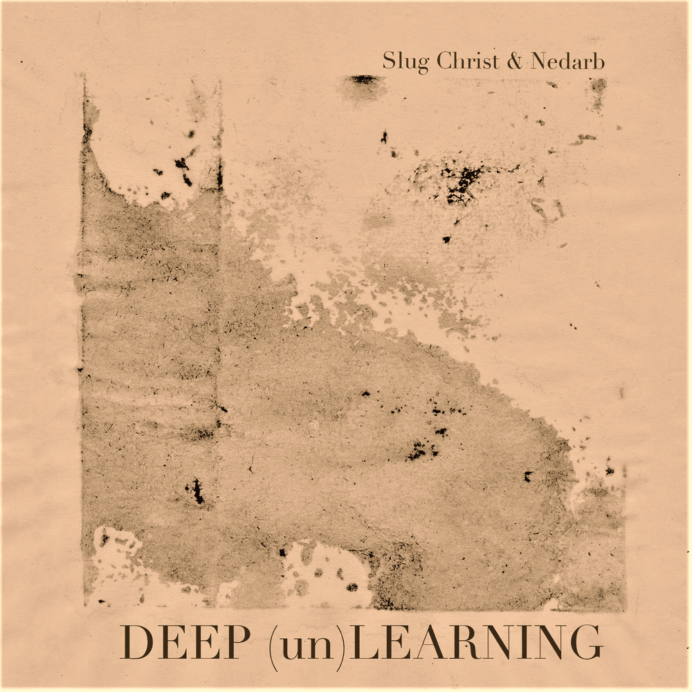 Cover image for DEEP (un) LEARNING