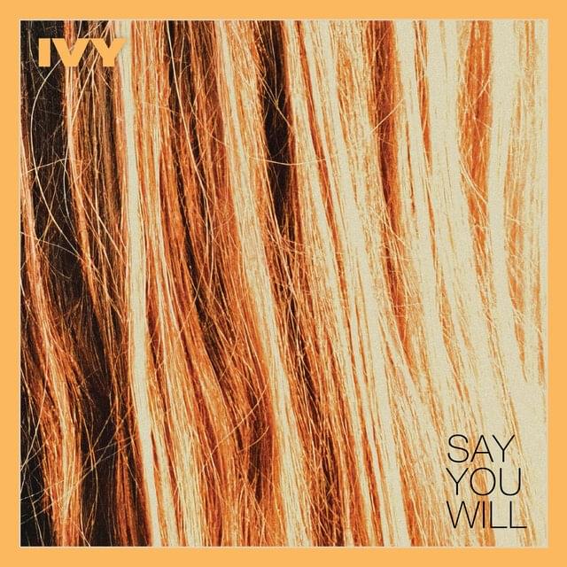 Album cover art for "Say You Will" by Ivy