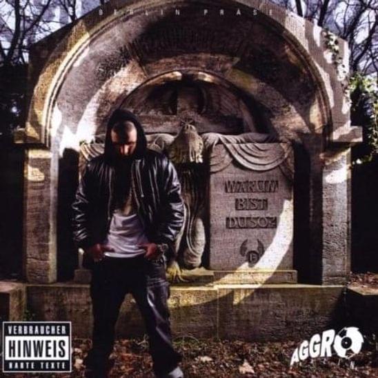 Album cover art for "Warum bist Du so?" by Fler