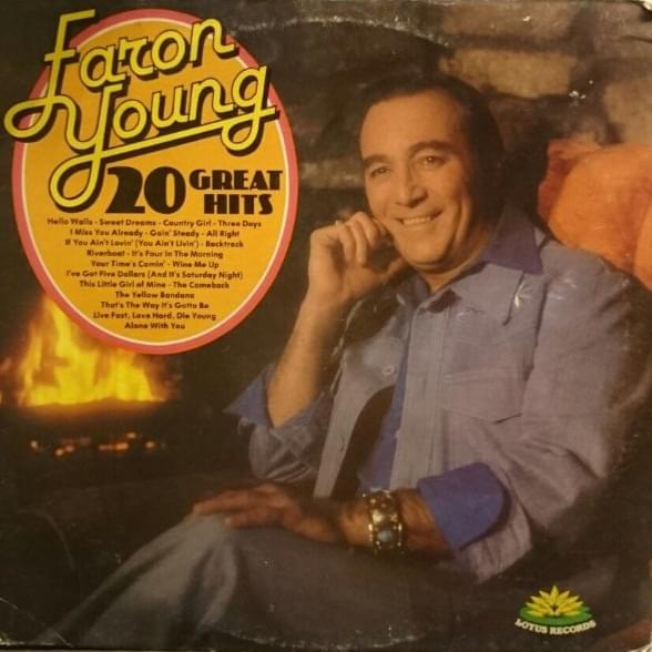 Cover image for 20 Great Hits