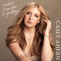 Album cover art for "Didn’t Even Get a Goodbye" by Casey Ahern
