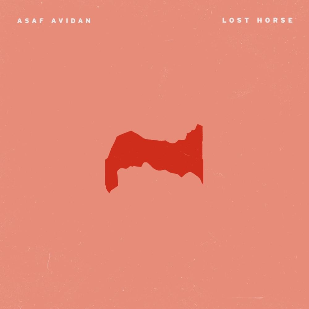 Lost Horse by אסף אבידן (Asaf Avidan)