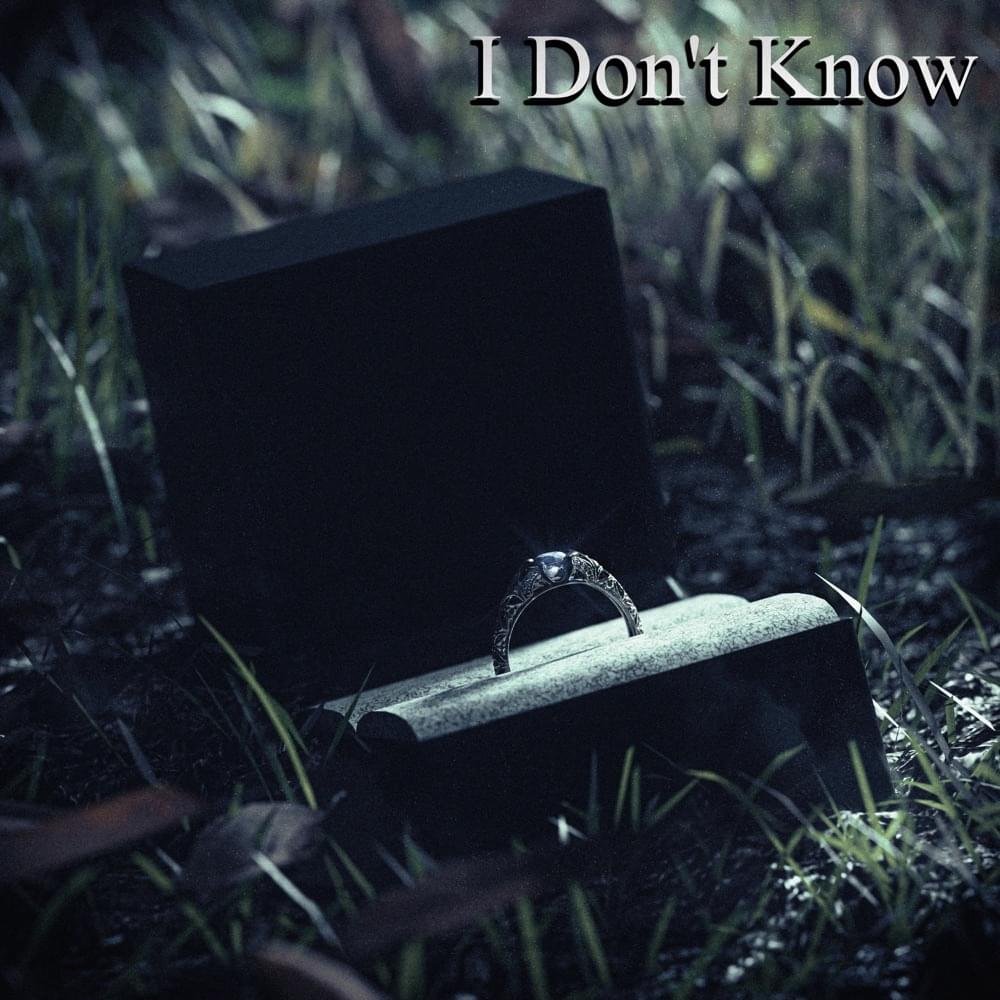 Album cover art for "I Don’t Know" by DHeusta