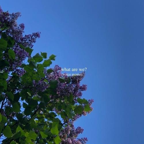 Album cover art for "...What Are We?" by Lizzy McAlpine
