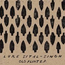 Dark by Luke Sital-Singh