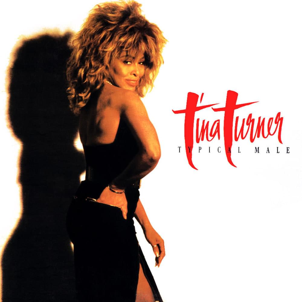 Album cover art for "Typical Male" by Tina Turner