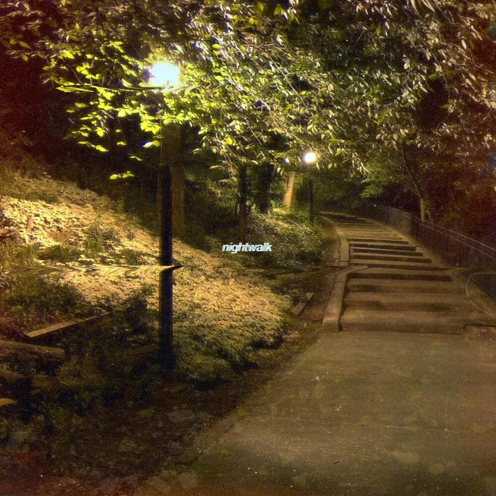 Nightwalk by Peter Bark