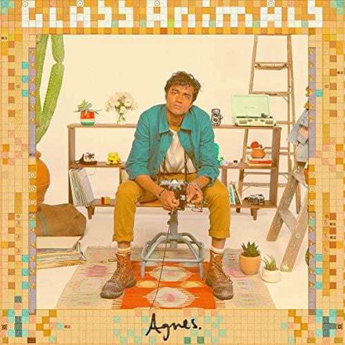 Album cover art for "Agnes (Radio Edit)" by Glass Animals