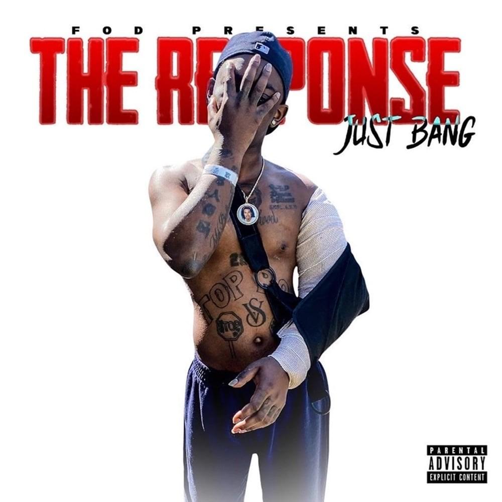 Cover image for The Response