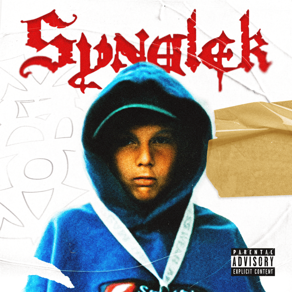 Cover image for Synalek