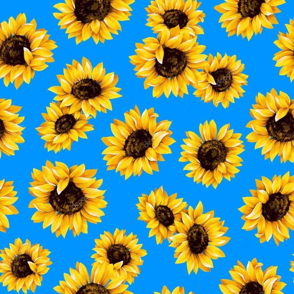 Cover image for SunFlower - EP