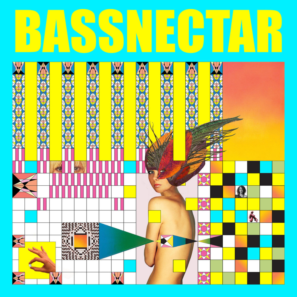 Lost in the Crowd by Bassnectar