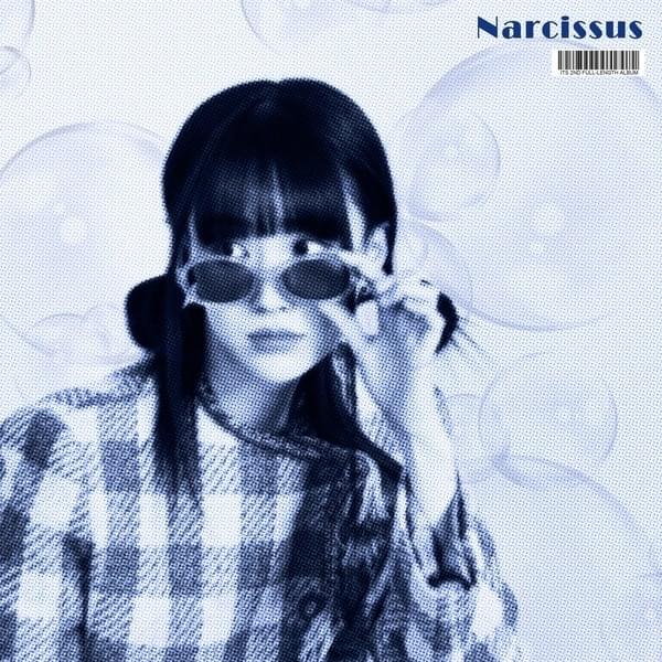 Cover image for Narcissus