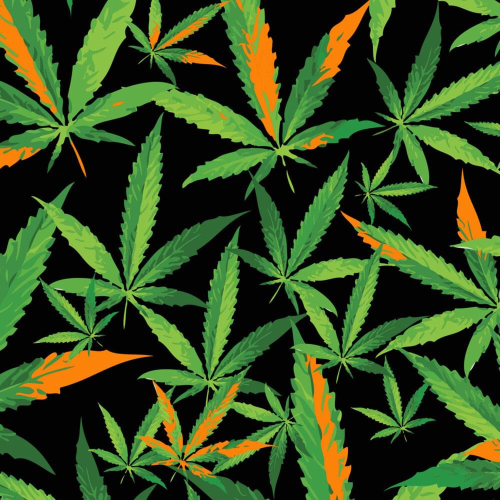 Album cover art for "420 Every Day" by Jehst
