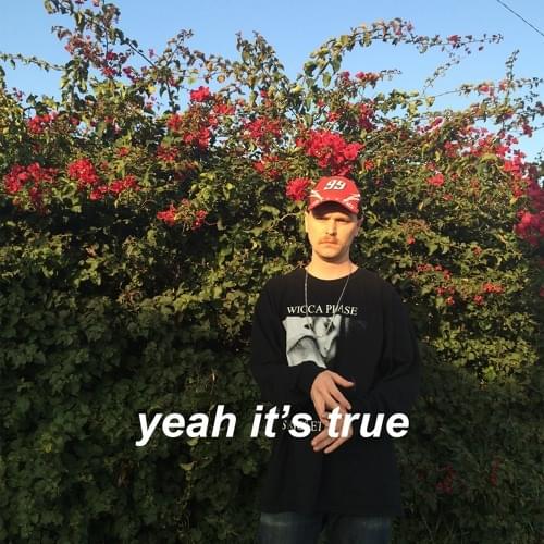 Album cover art for "Yeah It’s True" by Horse Head