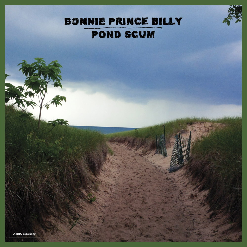 Cover image for Pond Scum