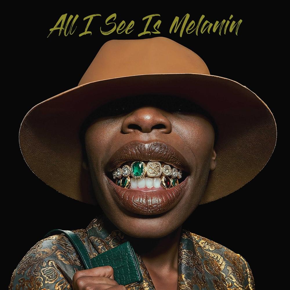Album cover art for "All I See Is Melanin" by Arrested Development