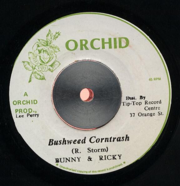 Cover image for Bushweed Corntrash / Cally Butt