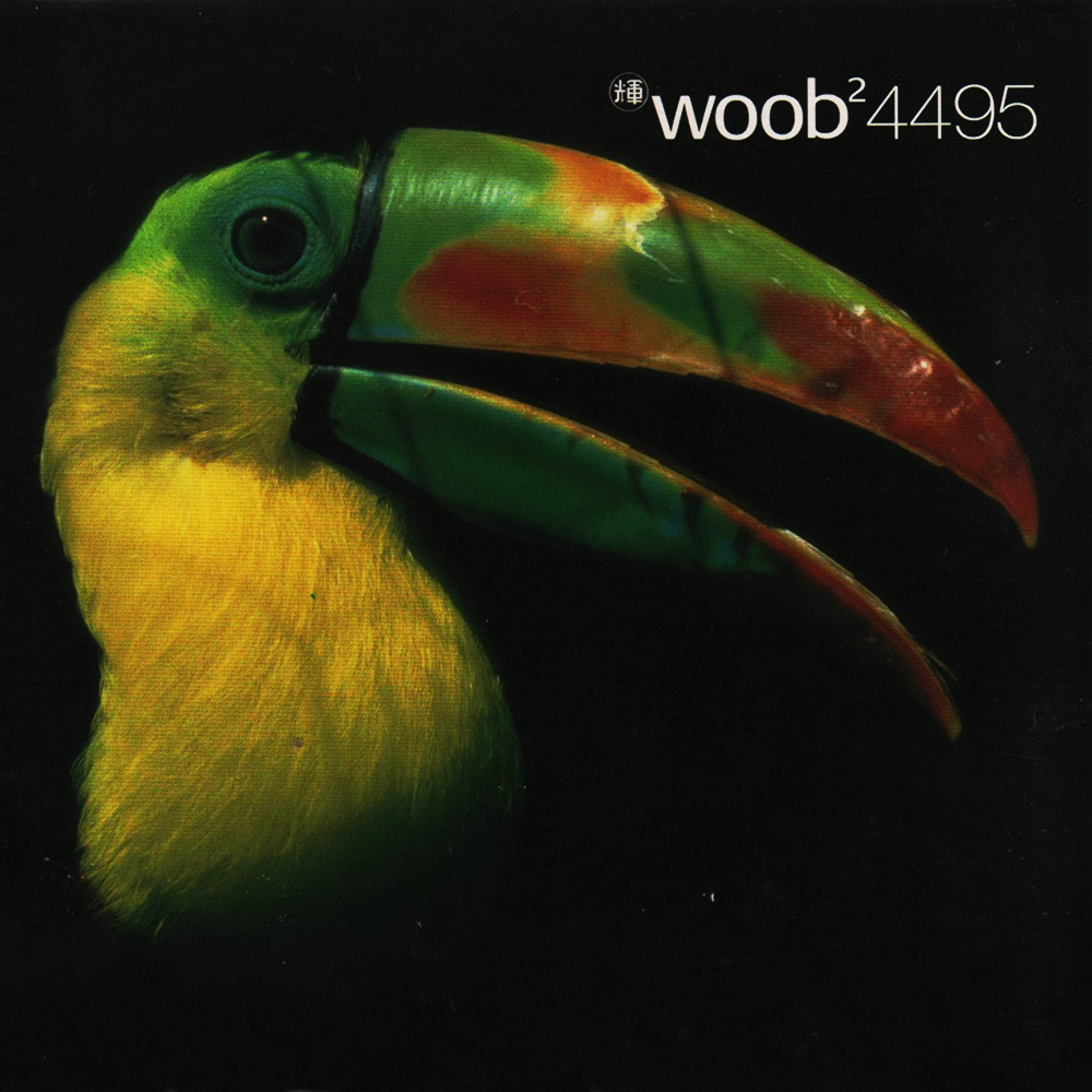 Cover image for ​woob² 4495
