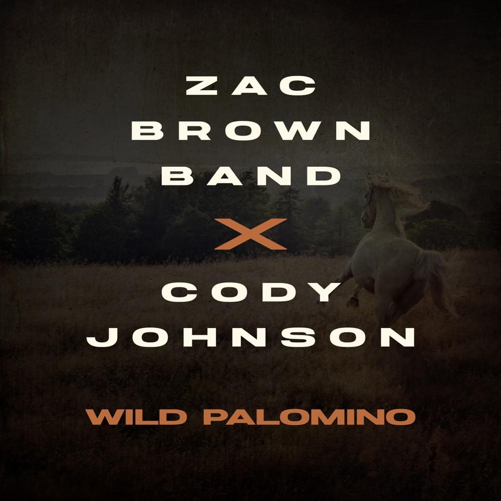 Album cover art for "Wild Palomino" by Zac Brown Band