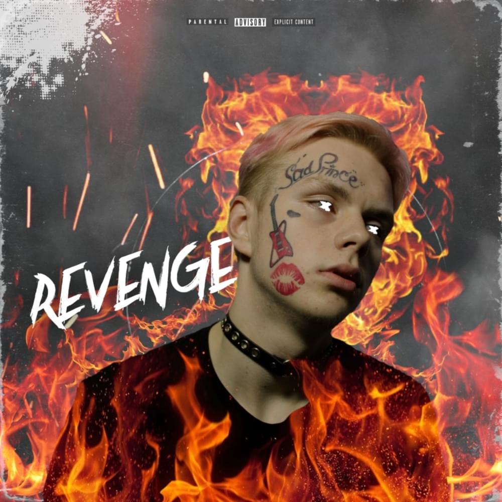 Album cover art for "Revenge" by Pinkib0y
