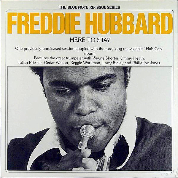 Cover image for Here to Stay