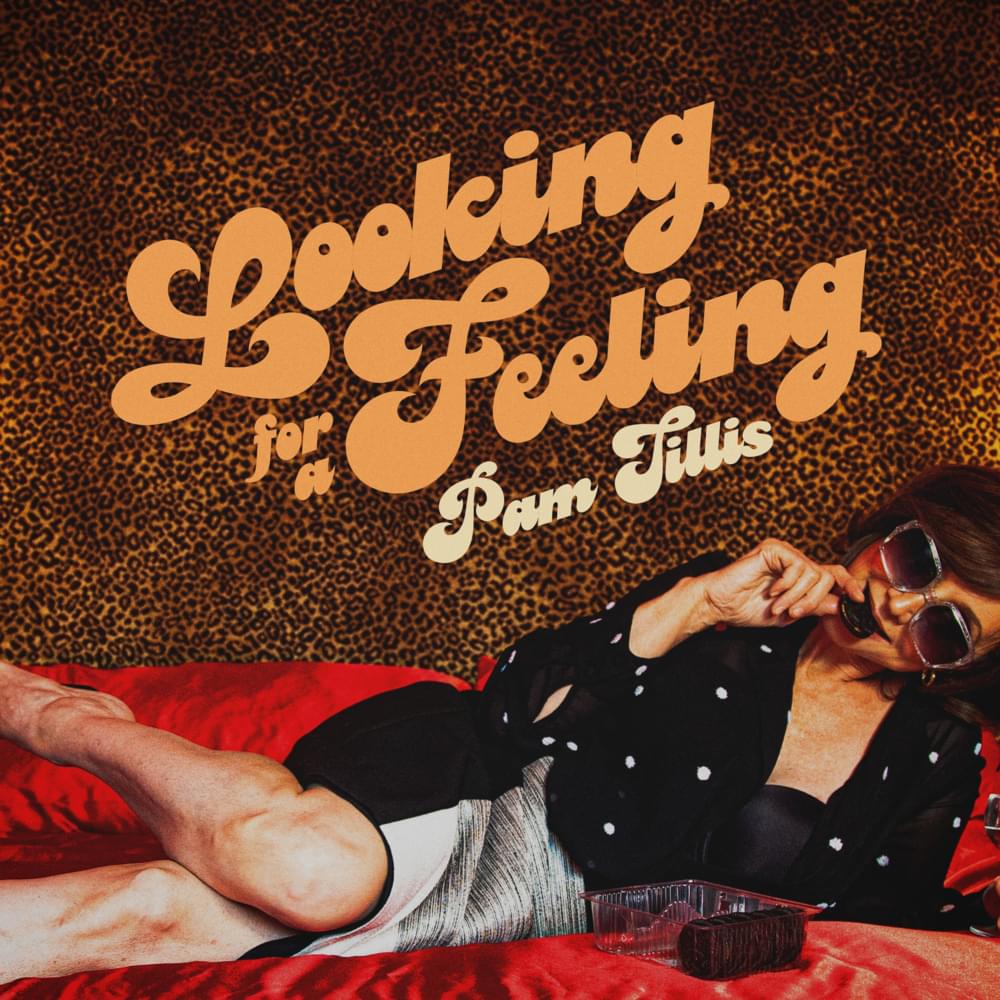 Album cover art for "Looking for a Feeling" by Pam Tillis