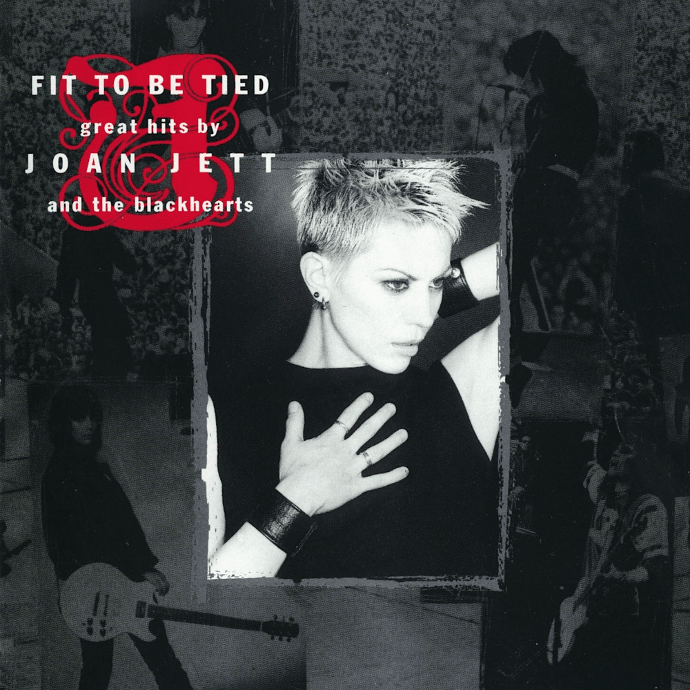 Album cover art for "World of Denial" by Joan Jett and the Blackhearts