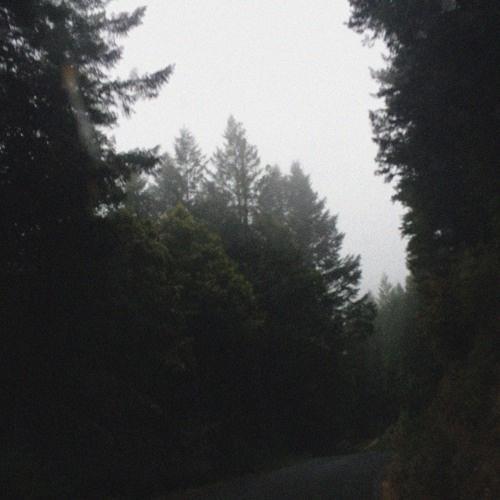 Album cover art for "i never looked at it like that" by Kodyak