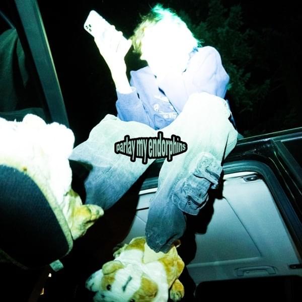 Cover image for Parlay My Endorphins