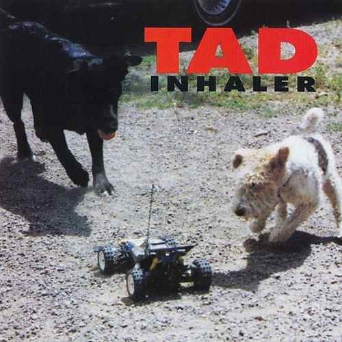 Album cover art for "Leafy Incline" by Tad