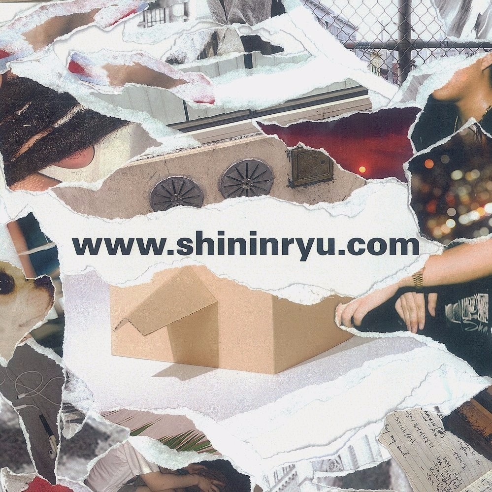 Cover image for www.shininryu.com