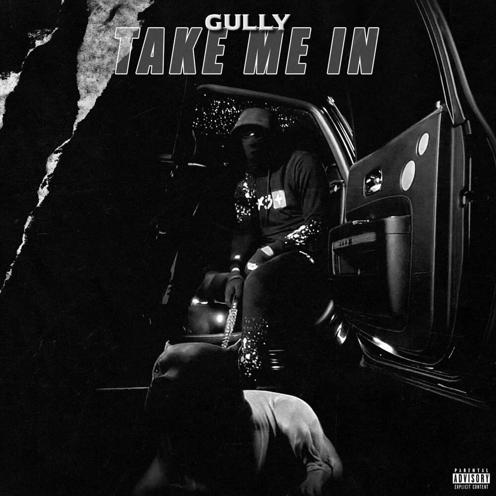 Cover image for Take Me In