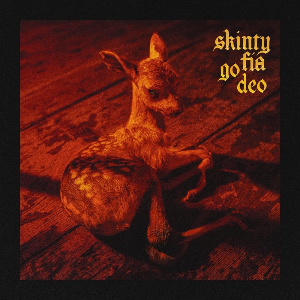 Cover image for Skinty Fia go deo