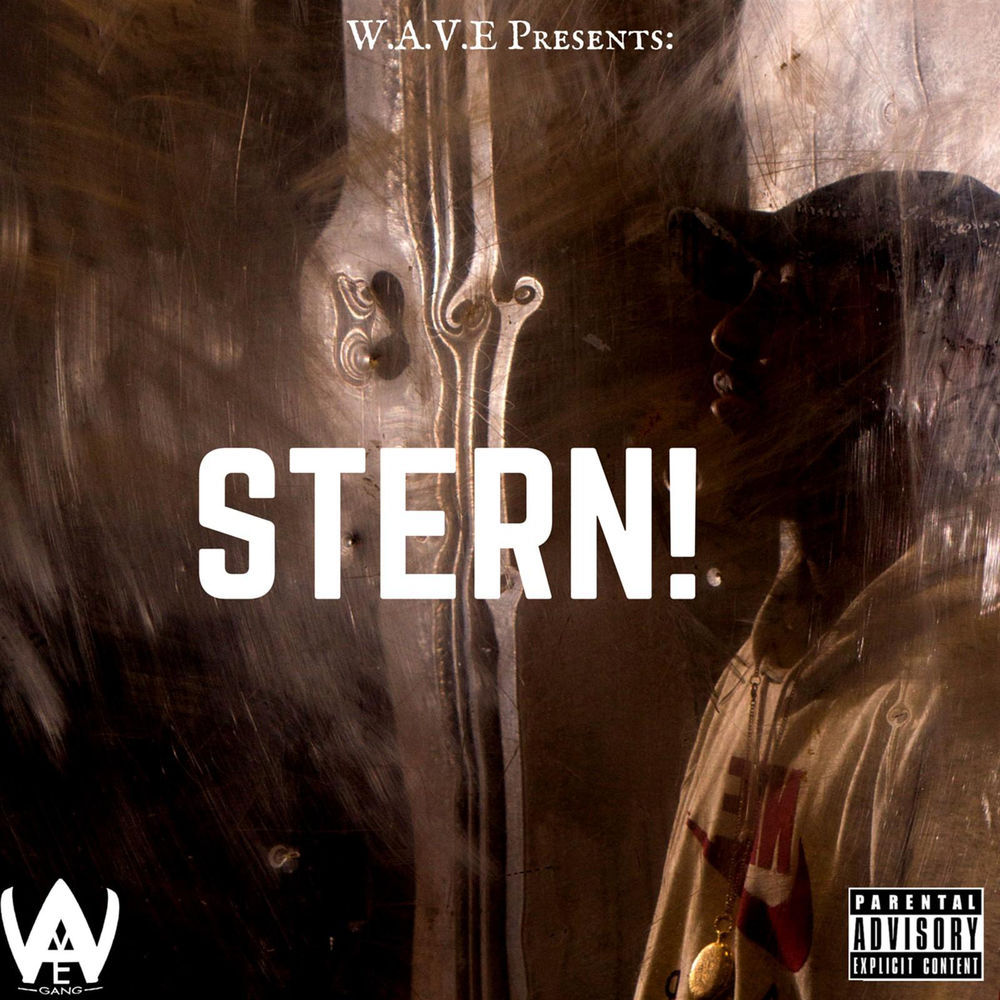 Stern! by Ten Dixon