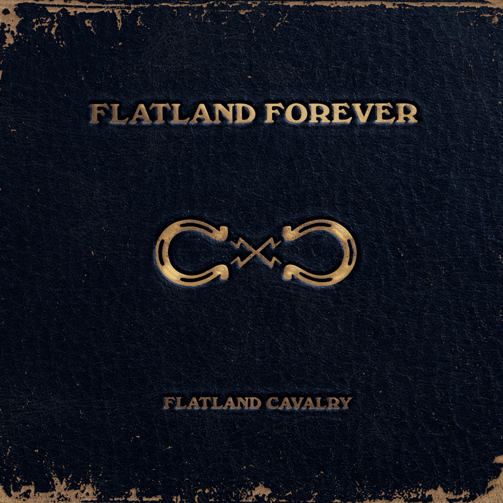 Cover image for Flatland Forever