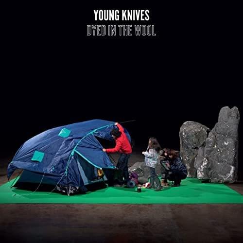 Album cover art for "Dyed in the Wool" by Young Knives