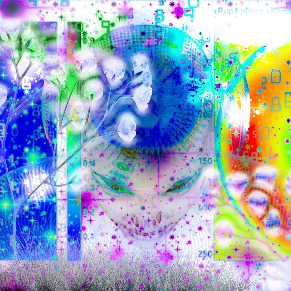 Cover image for SEB Function