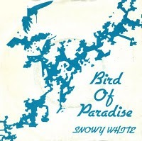 Album cover art for "Bird of Paradise" by NOW That’s What I Call Music!