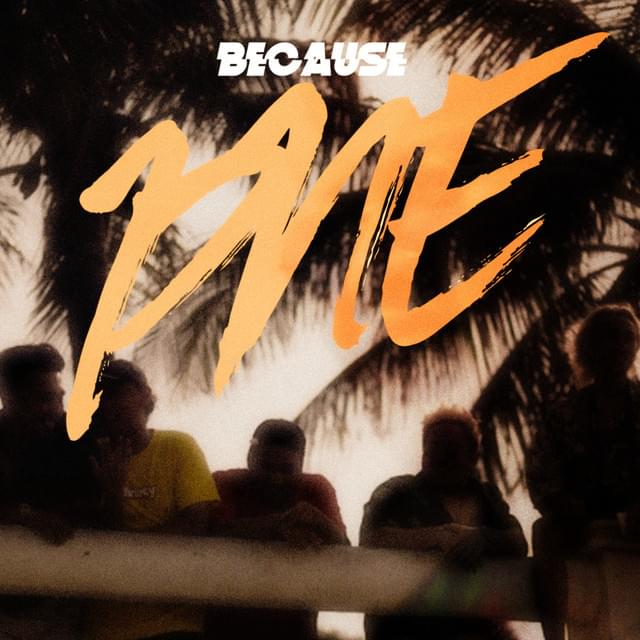 Album cover art for "PNE" by Because