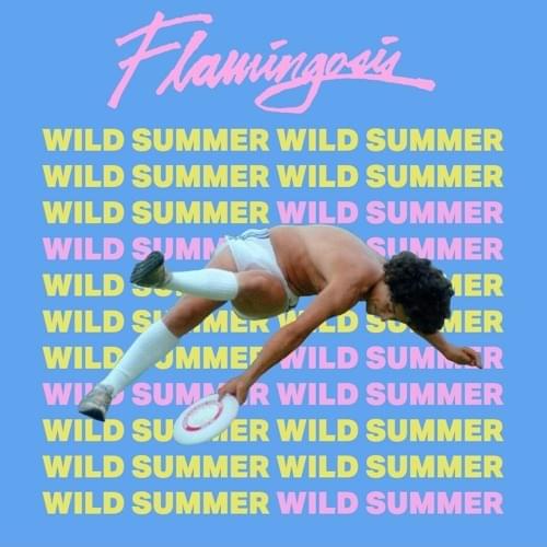 Album cover art for "Wild Summer" by Flamingosis